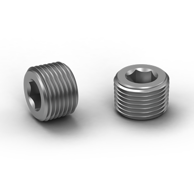 Stainless Steel Socket Pipe Plug